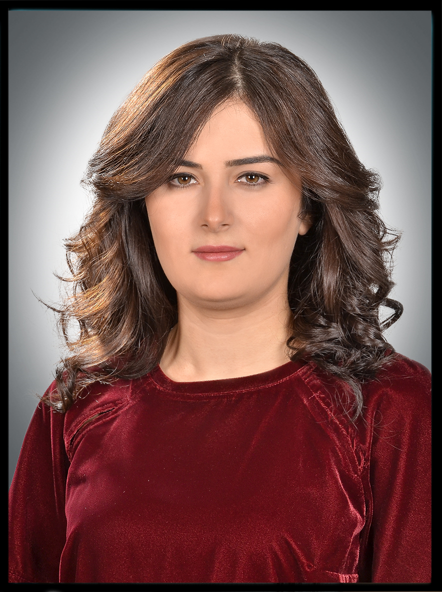 Dr. Öğr. Üyesi Neslişah ÖZDEMİR